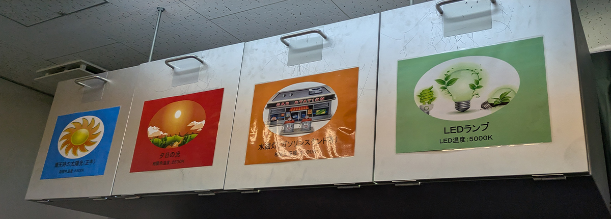 カラーワンダーランド（いろいろな光）